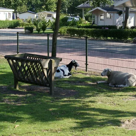 Holiday Droompark Molengroet.41 Vakantiehuis Sint Pancras